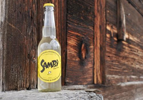 Sambì Sambì ist ein erfrischendes, fermentiertes Getränk aus Holunderblüten